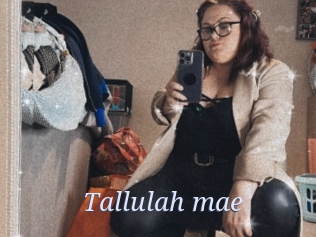 Tallulah_mae