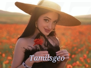 Tamilsgeo