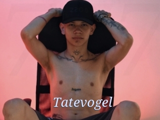 Tatevogel