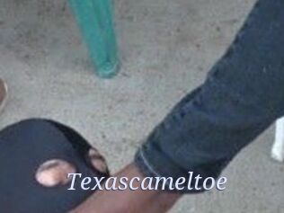 Texascameltoe