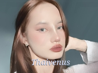 Thaivenus