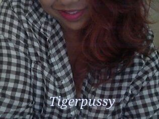 Tigerpussy