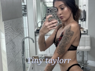 Tiny_taylorr