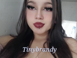 Tinybrandy