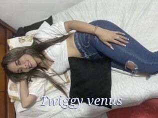 Twiggy_venus