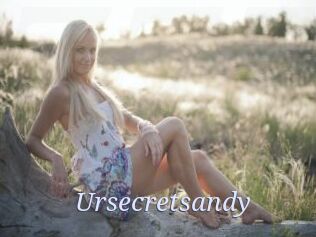 Ursecretsandy