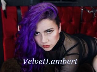 VelvetLambert