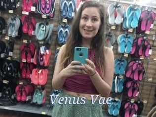 Venus_Vae