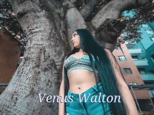 Venus_Walton