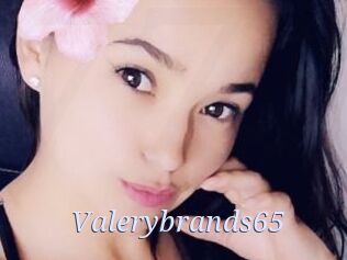 Valerybrands65