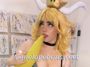 Vanelopebonsweet