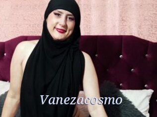 Vanezacosmo