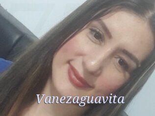 Vanezaguavita