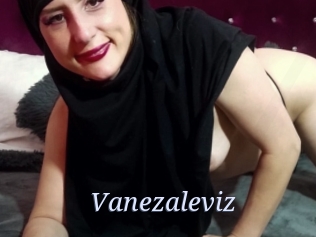 Vanezaleviz