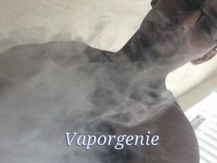 Vapor_genie