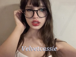 Velvetcassie