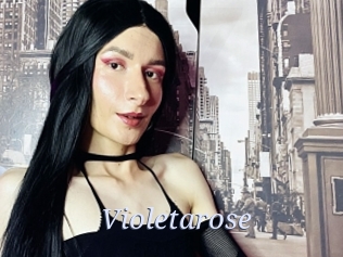 Violetarose