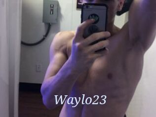 Waylo23