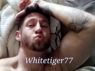 Whitetiger77