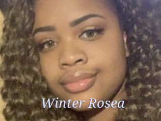 Winter_Rosea