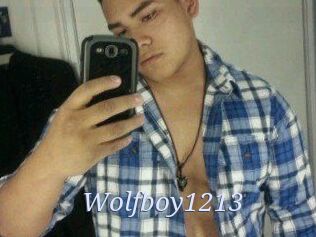 Wolfboy1213