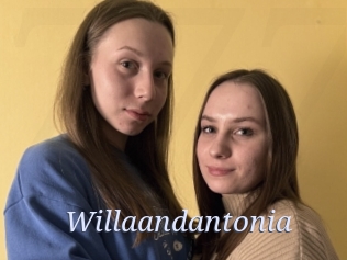 Willaandantonia