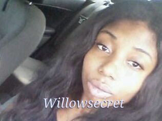 Willow_secret