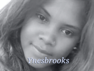 Ynesbrooks