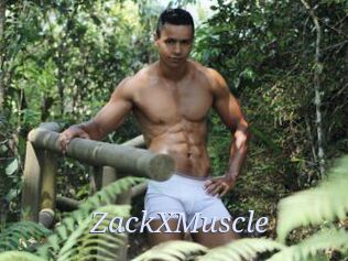 ZackXMuscle