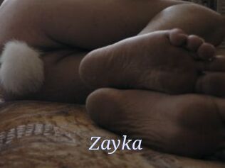 Zayka