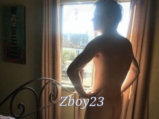 Zboy23