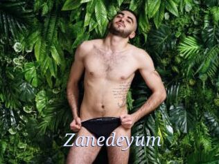 Zanedeyum